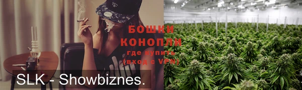 гидра Белокуриха