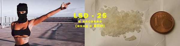 гидра Белокуриха