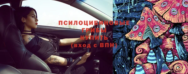 гидра Белокуриха