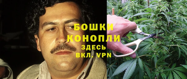 гидра Белокуриха
