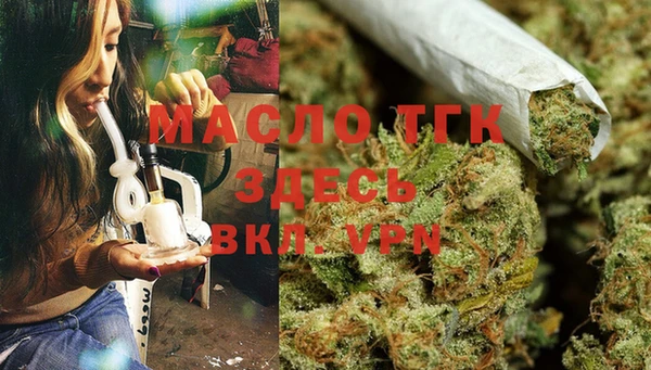 гидра Белокуриха
