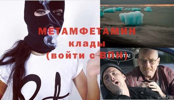 гидра Белокуриха