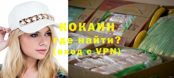гидра Белокуриха
