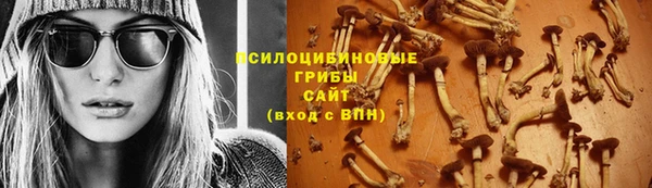 гидра Белокуриха
